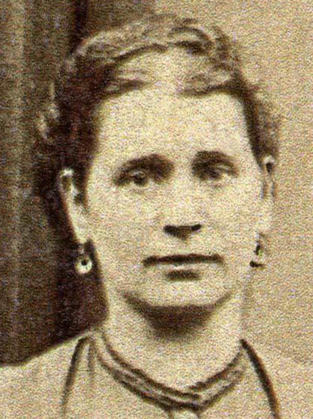 Mary Ann Hollingdrake (1842 - 1898) Profile
